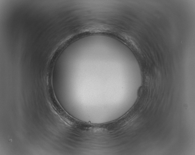 X0000074000539200608211110