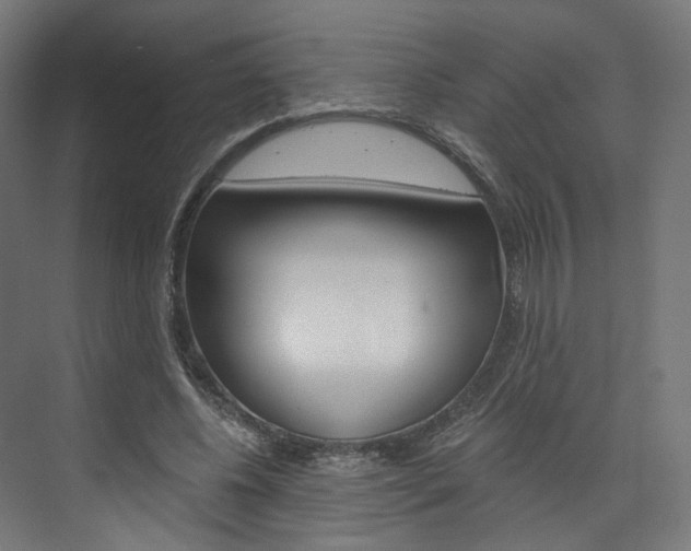 X0000074000540200608211110