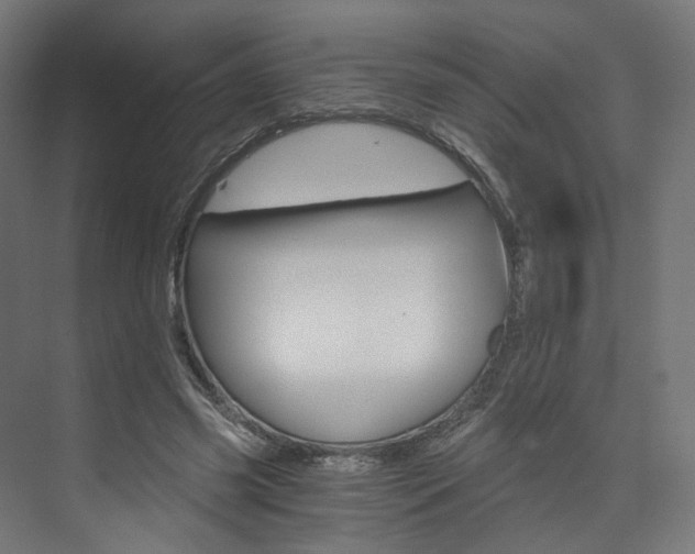 X0000074000541200608211110