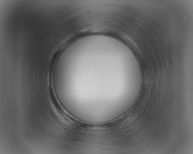 X0000074000542200608211110