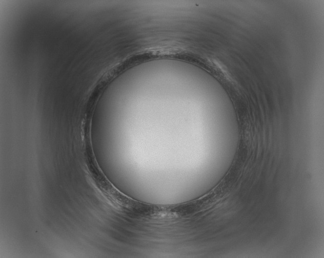 X0000074000543200608211110