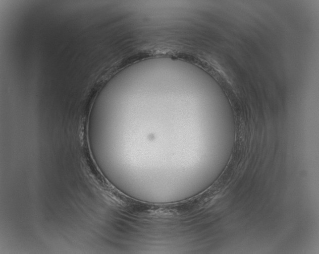 X0000074000545200608211110