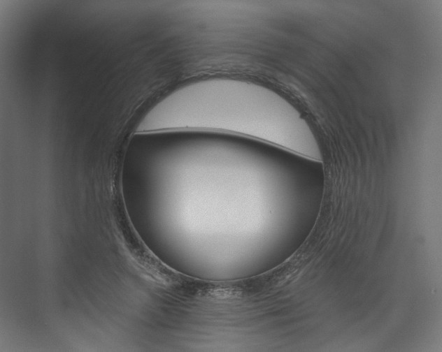 X0000074000546200608211110