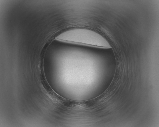 X0000074000548200608211110