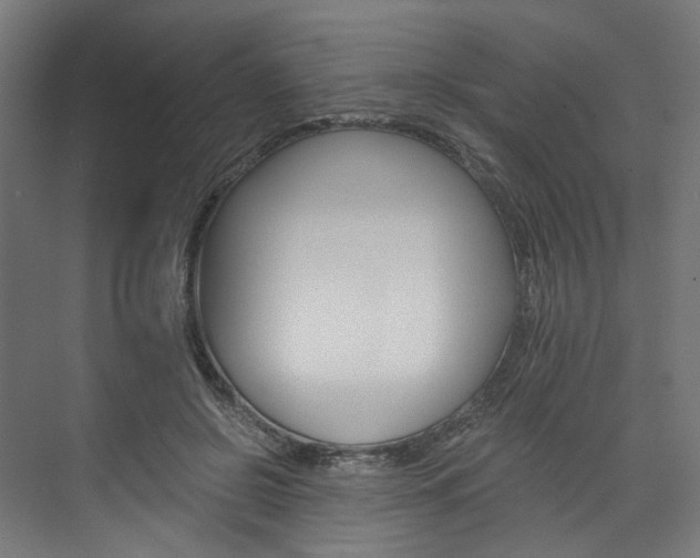 X0000074000550200608211110