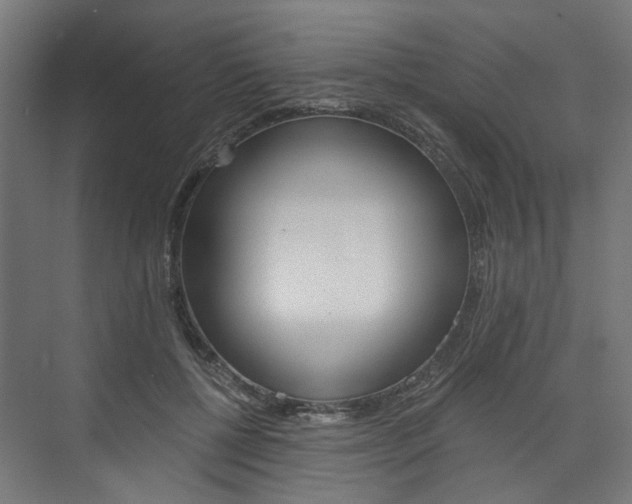 X0000074000552200608211110