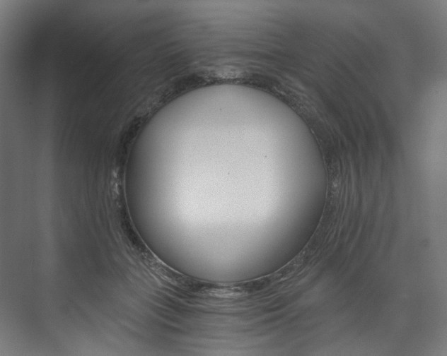 X0000074000555200608211110