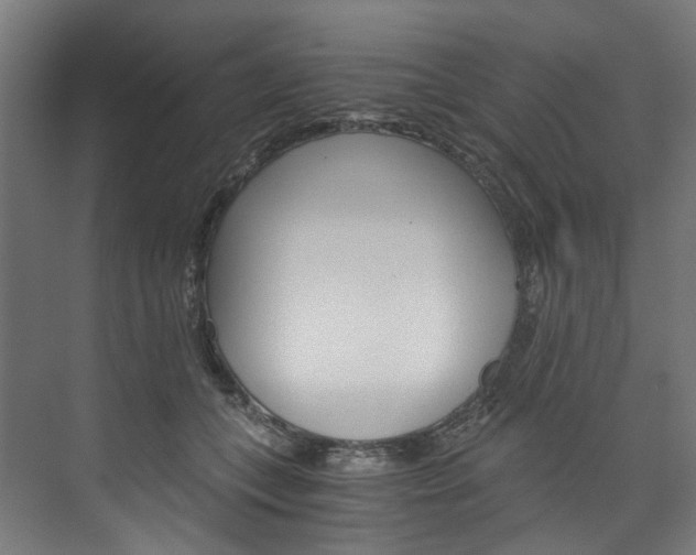 X0000074000559200608211110