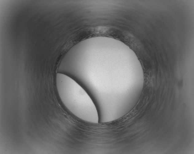 X0000074000561200608211111