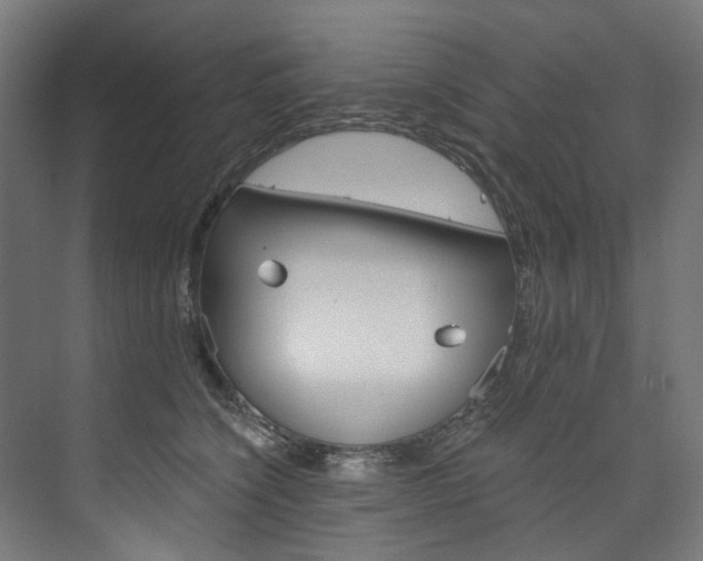 X0000074000564200608211111