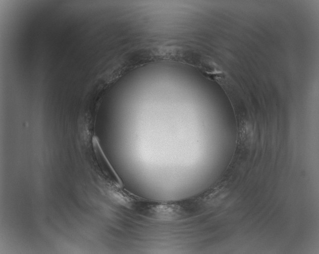 X0000074000566200608211111