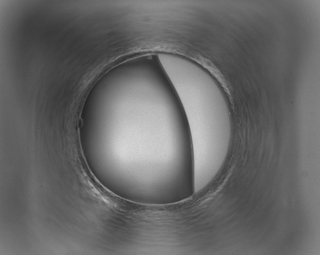 X0000074000577200608211110