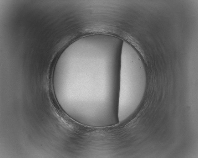 X0000074000578200608211110