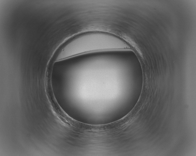 X0000074000580200608211110