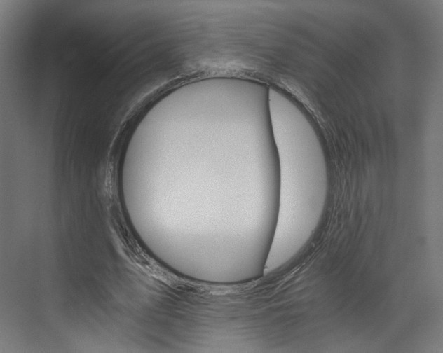 X0000074000583200608211110