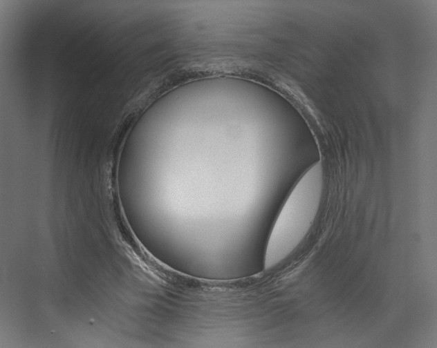 X0000074000585200608211110