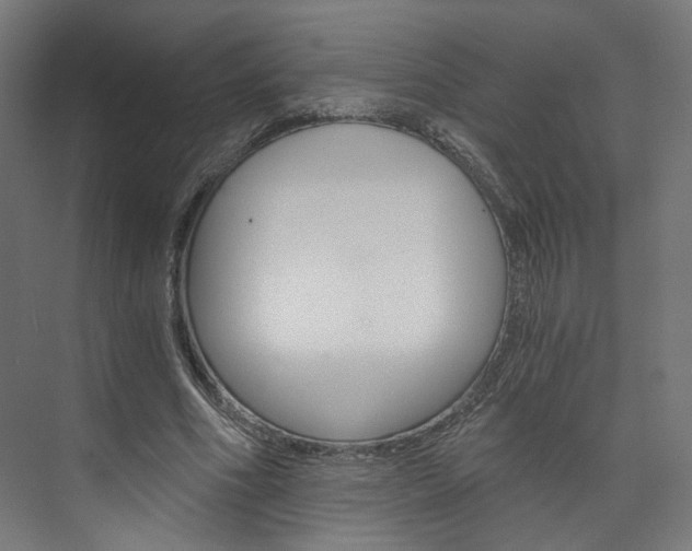 X0000074000586200608211110