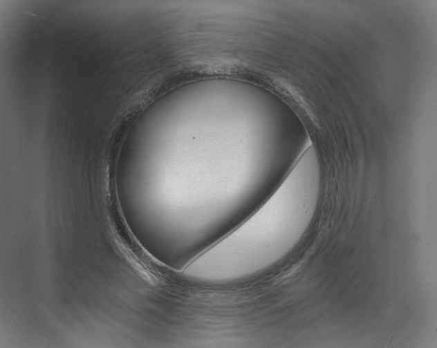 X0000074000589200608211110