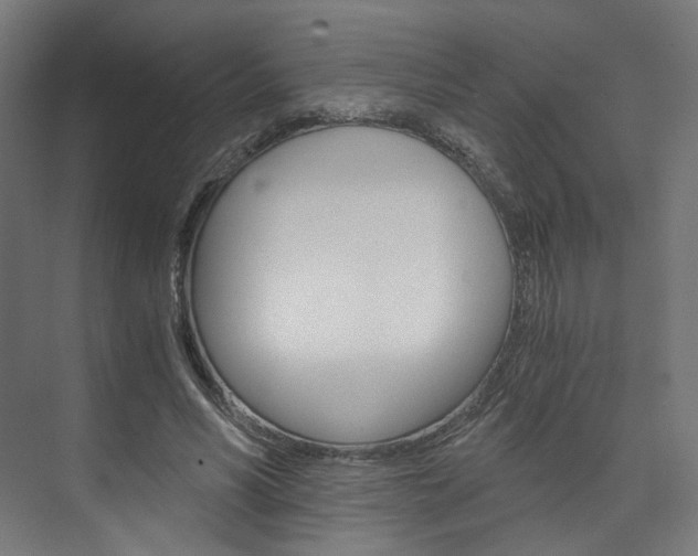 X0000074000590200608211110