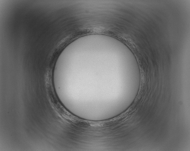 X0000074000591200608211110