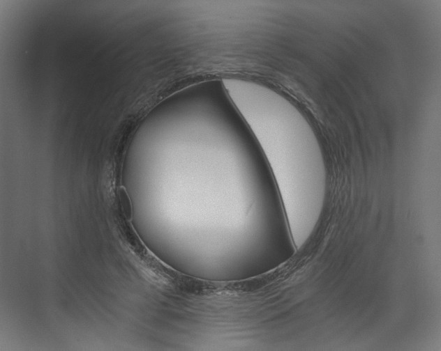 X0000074000593200608211110
