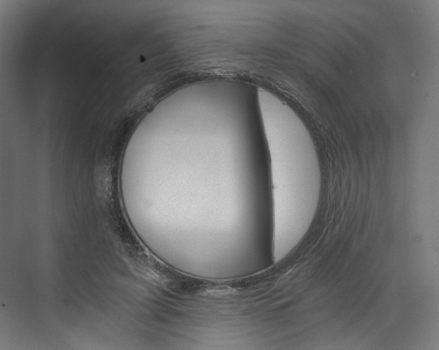 X0000074000595200608211110