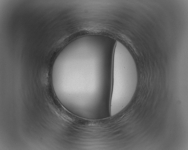 X0000074000596200608211110