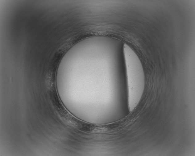 X0000074000599200608211110