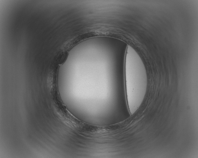 X0000074000600200608211110