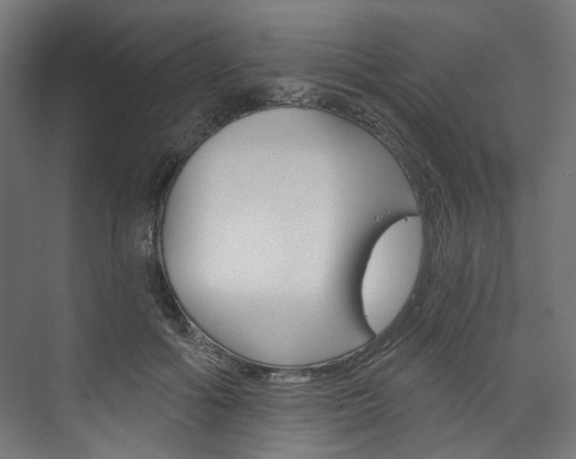 X0000074000602200608211110