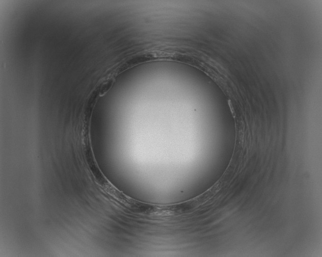 X0000074000604200608211110