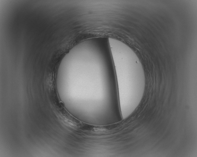 X0000074000605200608211109