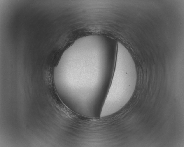 X0000074000609200608211109