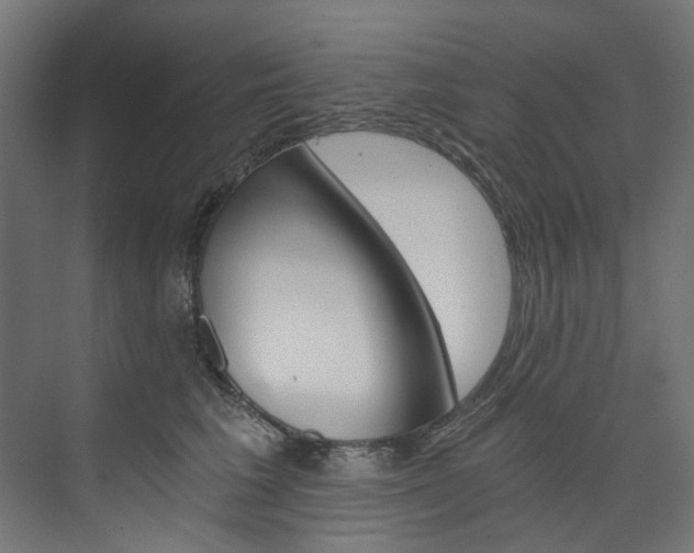 X0000074000613200608211109