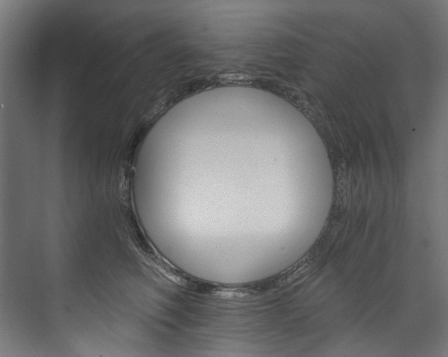 X0000074000614200608211109