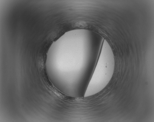 X0000074000617200608211109