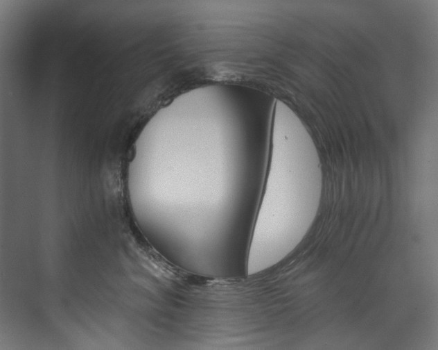 X0000074000620200608211109