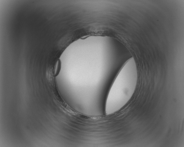 X0000074000623200608211109