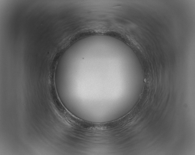 X0000074000639200608211109