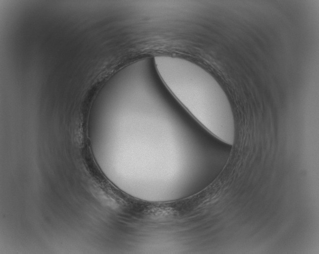 X0000074000642200608211109