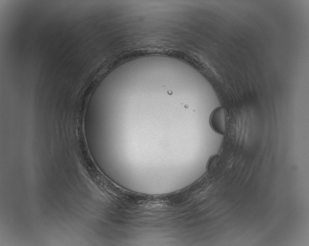 X0000074000643200608211109