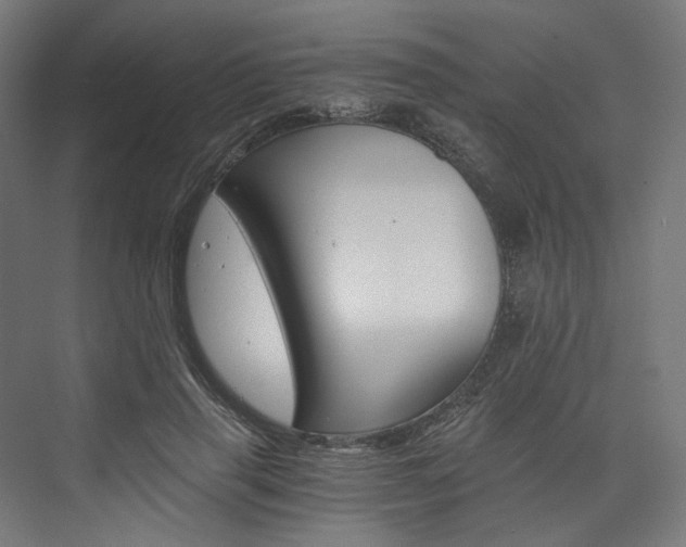 X0000074000645200608211109