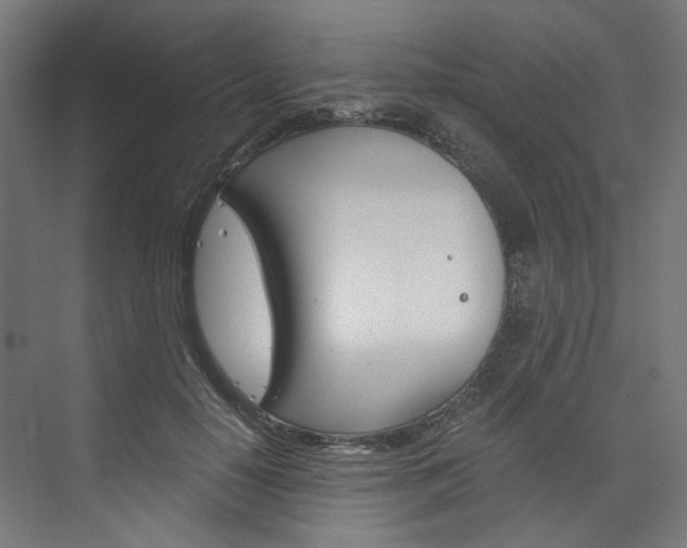 X0000074000650200608211109
