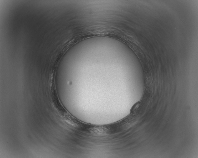 X0000074000652200608211109