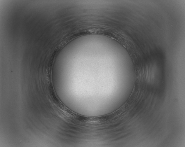 X0000074000653200608211109