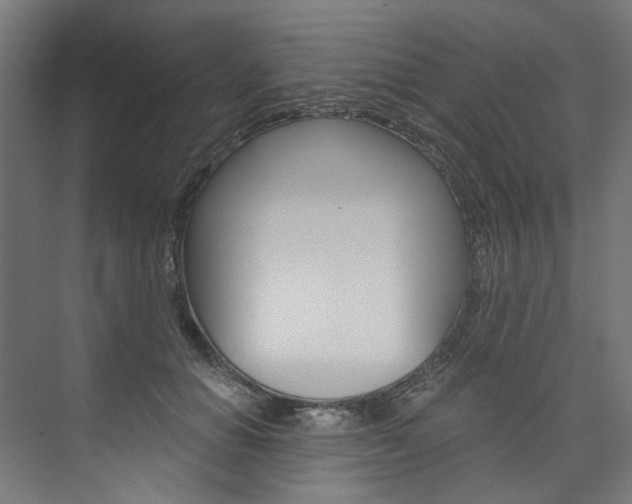 X0000074000654200608211109