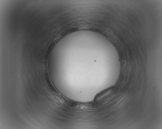 X0000074000655200608211109