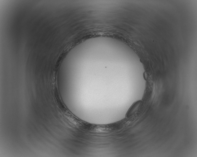 X0000074000657200608211109