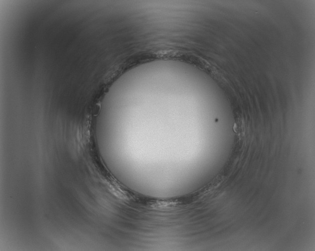 X0000074000664200608211109