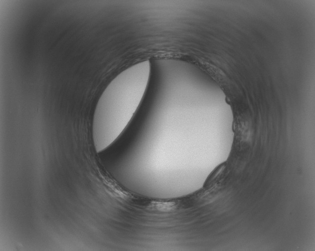 X0000074000665200608211109